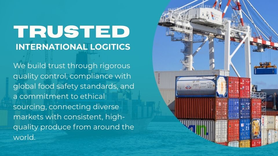 Blue and White Minimalist Logistic Presentation